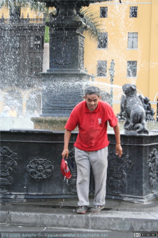 Chapuzón en la fuente