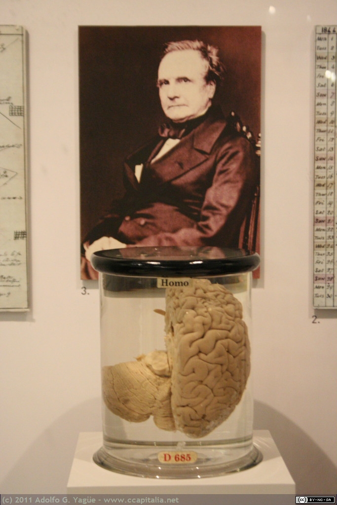 1871 - Retrato y porción del cerebro de Charles Babbage. Ciencia de Londres