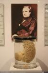 1871 - Retrato y porción del cerebro de Charles Babbage. Ciencia de Londres