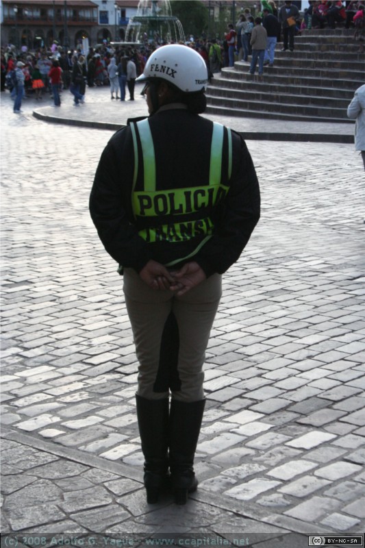 Agente de policia (2)