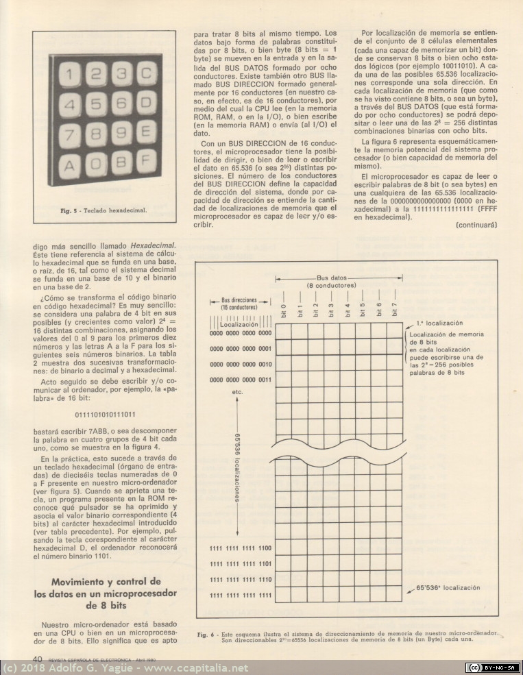 613 - Amico 2000. Revista Española Electrónica (REDE 305). Abril (5), 1980