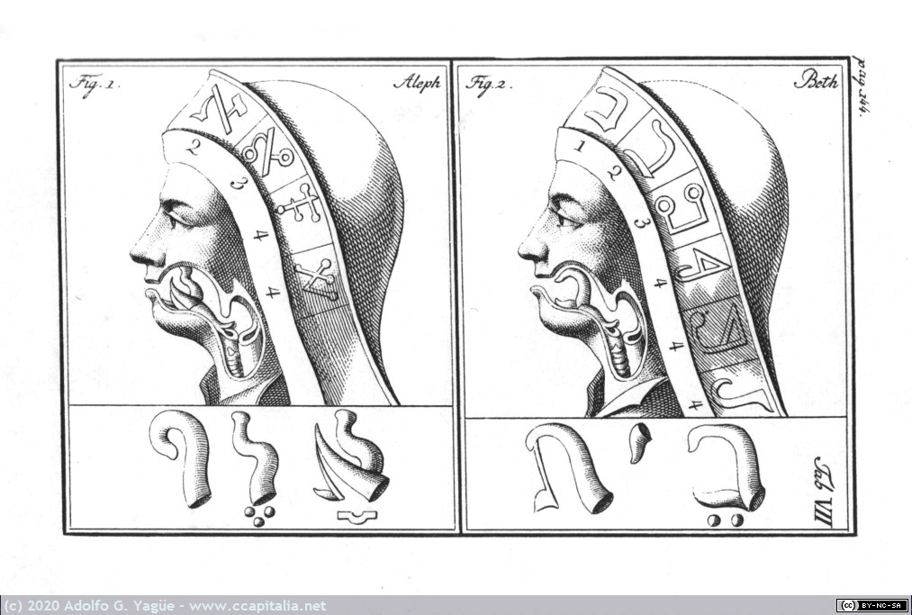 1390 - Mechanismus der Menschilichen Sprache. Wolfgang von Kempelen (facsímil) (4), 1791