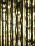 678 - Microfotografía del surco de un cilindro de fonógrafo de 2 minutos de duración (4), 1902