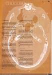1974 - @RROBA número 1. Revista de usuarios de Internet especializada en hacking, cracking, malware, etc (3), 1997
