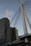 Travesía del río Sumida (3)