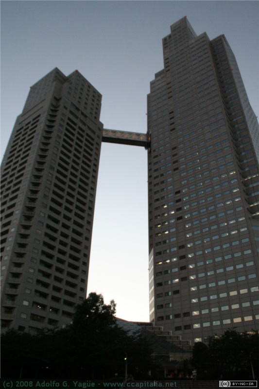 Travesía del río Sumida (4)