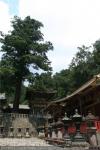 Santuario Tocho-gu (4)
