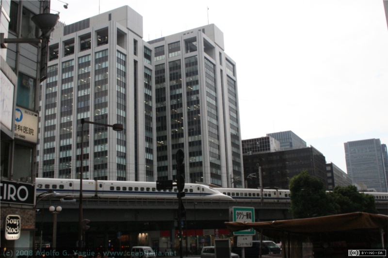 Ginza (3)