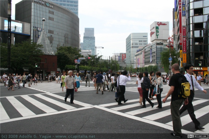 Ginza (5)