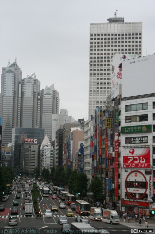 Shinjuki (1)