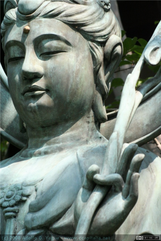 Myoshin-ji (3)