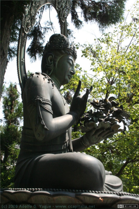 Ninna-ji (3)