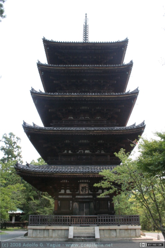 Ninna-ji (4)
