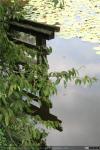 Ryoan-ji (4)