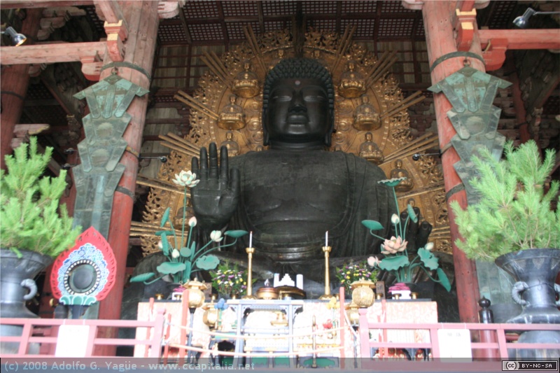 Templo Todai-ji (5)