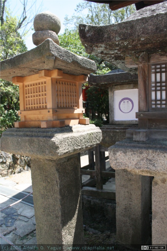 Bosque de Kasugayama (3)