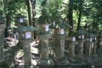 Bosque de Kasugayama (4)