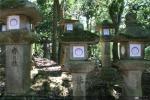 Bosque de Kasugayama (5)