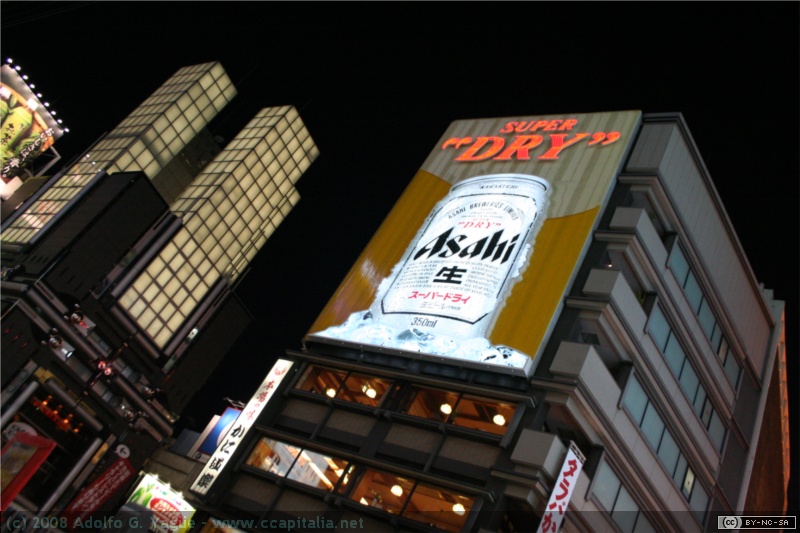 Dotonbori (9)