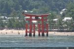 Puerta Torii de Miyajima (2)