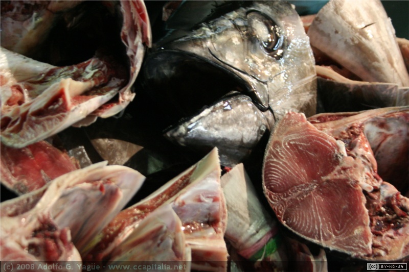Mercado de pescado de Tokio (2)