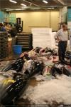 Mercado de pescado de Tokio (6)