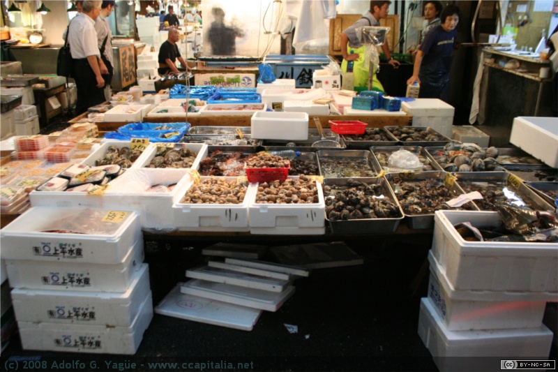 Mercado de pescado de Tokio (7)