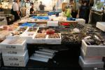 Mercado de pescado de Tokio (7)