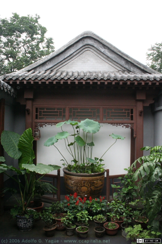 Hutong (25)