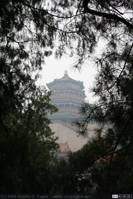 Palacio de Verano (25)