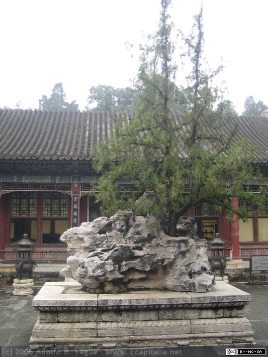 Palacio de Verano (6)