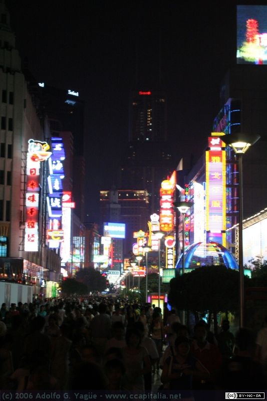 Bund (25)
