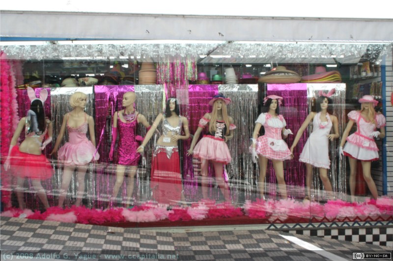 Escaparate de fantasías