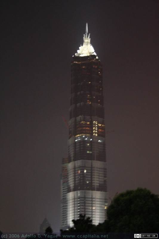 Pudong (21)