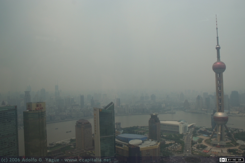 Pudong (8)