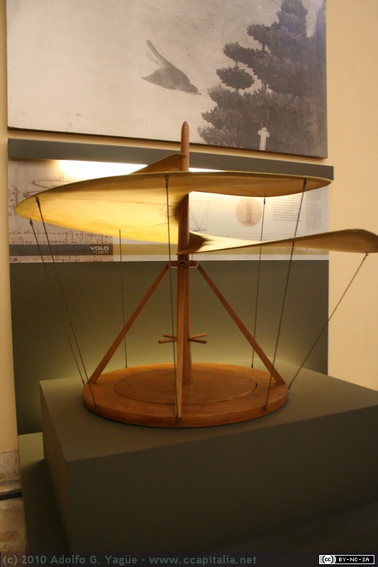 Tornillo aéreo (2)