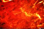 Corteza Cerebral - Gato - Golgi (10)