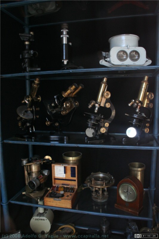 Mercadillo de San Telmo (8)
