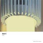 [RArchDem 004] Balb_C - Live