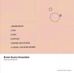 [RArchDem 034] Brown Bunny Ensemble - Demonstration